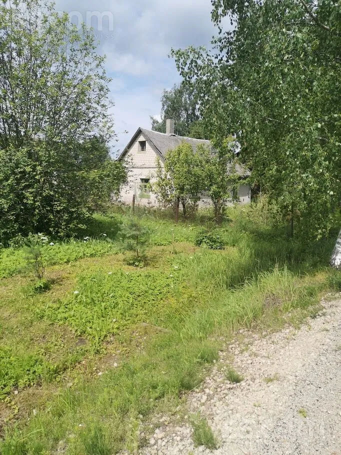 Pļavu 3, Ludza