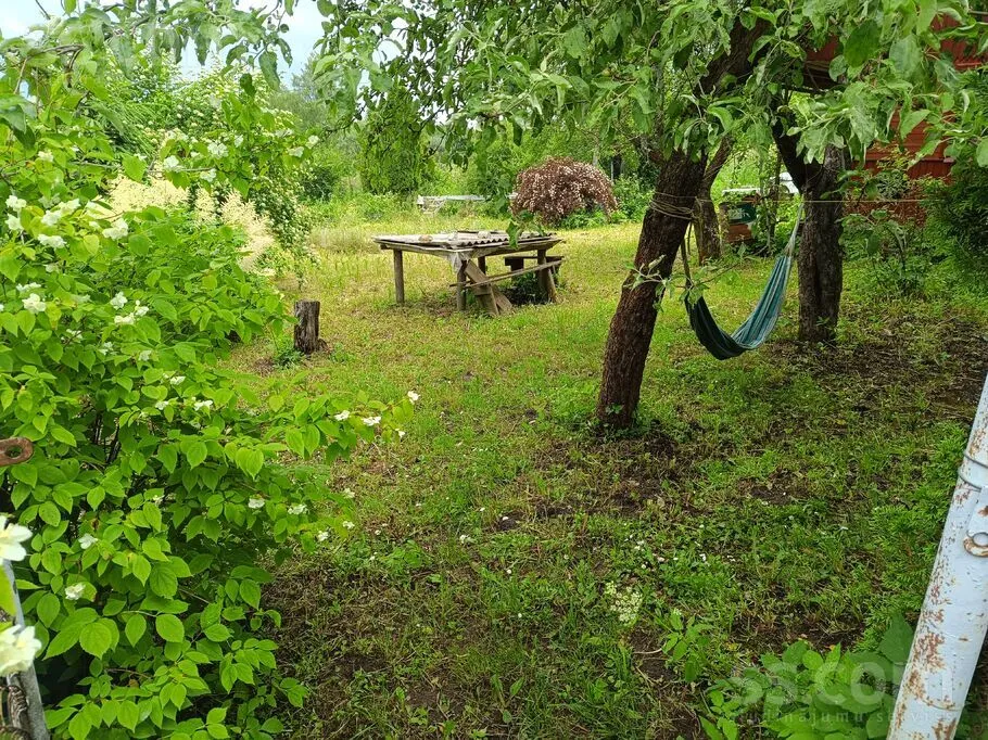 Dārziņš 72, Salas, Praulienas pag.