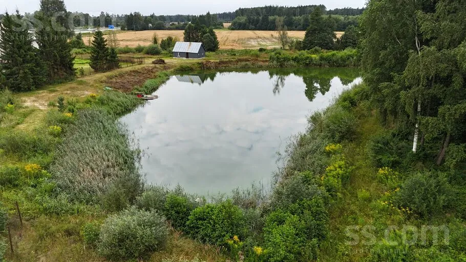 Rēzijas, Olaine