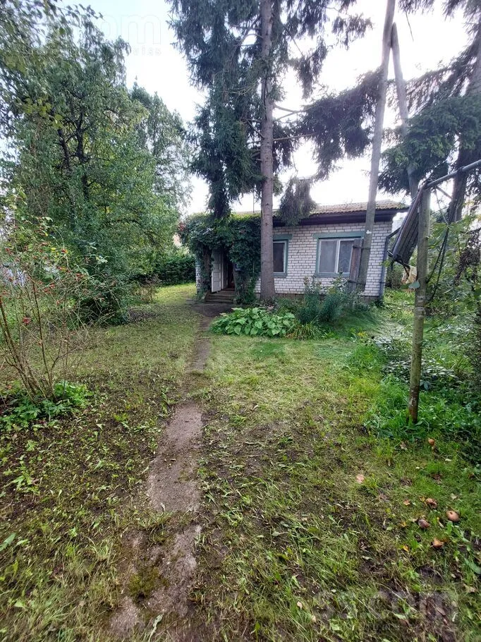 Kazragu 6, Darzini