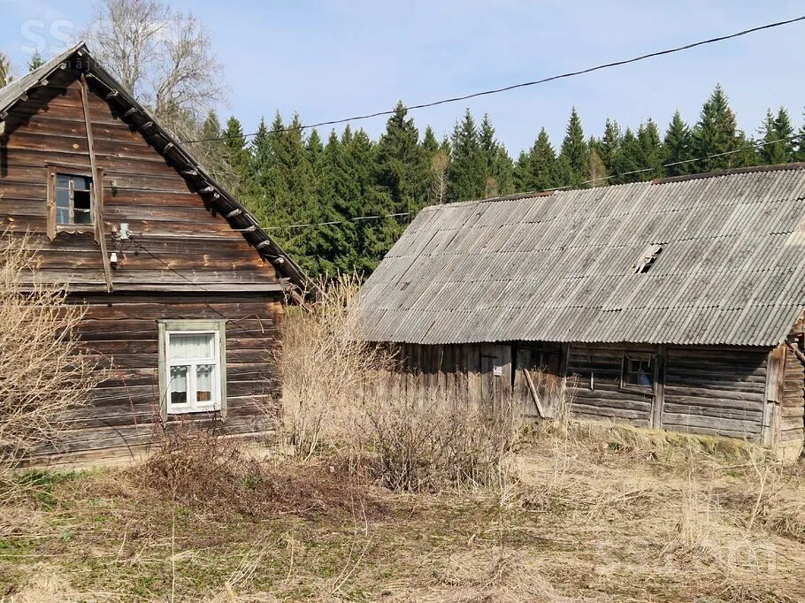Liepiņi, Rauda, Šēderes pag.