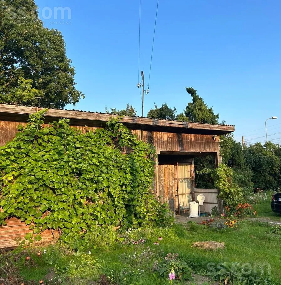Darzinu, Darzini