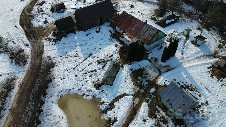 Silikāni, Silene, Skrudalienas pag.