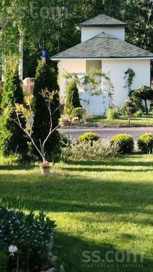 Cirsmas 23, Vecaki