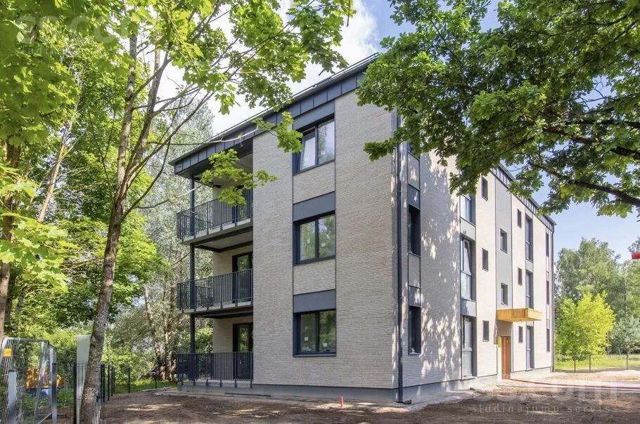 Putnu 43, Ziepniekkalns