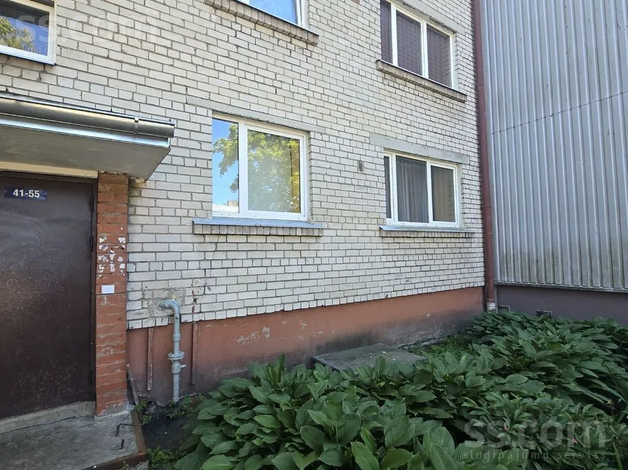 Volguntes 19, Shampeteris-Pleskodale