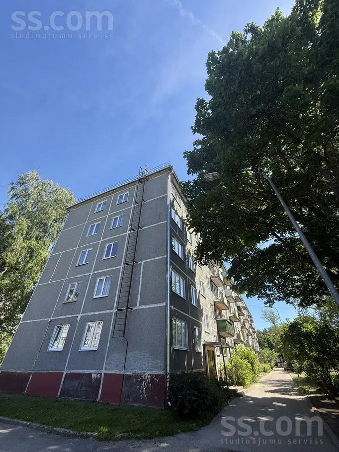 Mores 7, Mangali