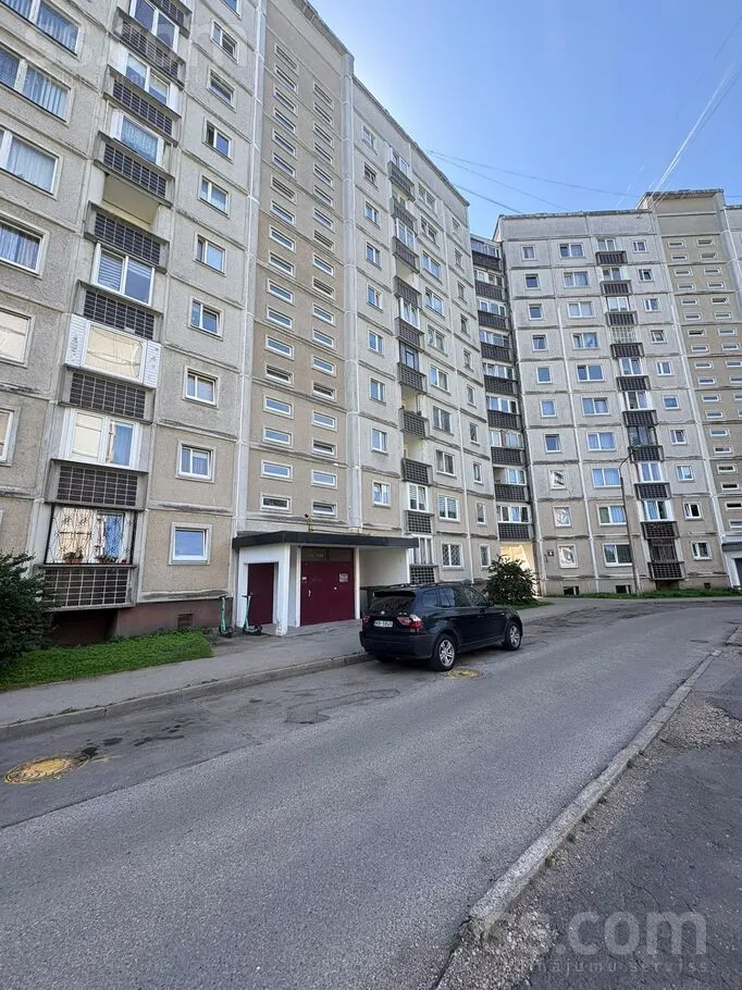 Biezina 11, Zolitude