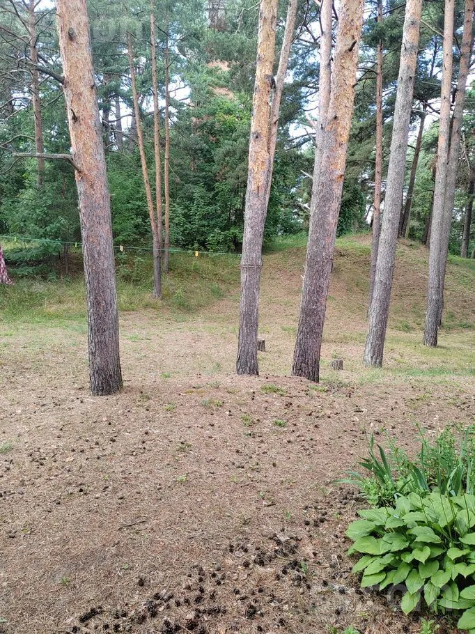 Ostas 17, Saulkrasti