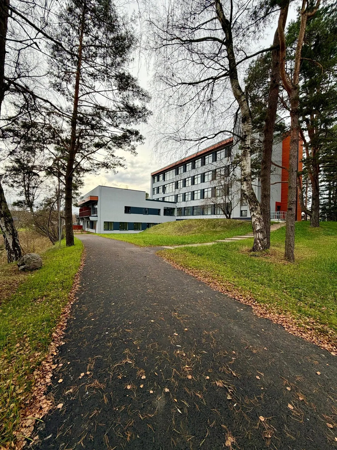 Stopiņu nov., Līči, Rīgas iela 14