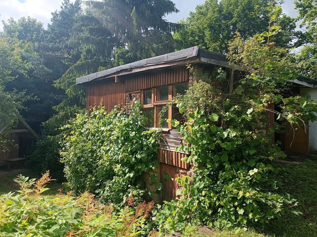 Ikšķile, Ozolu iela