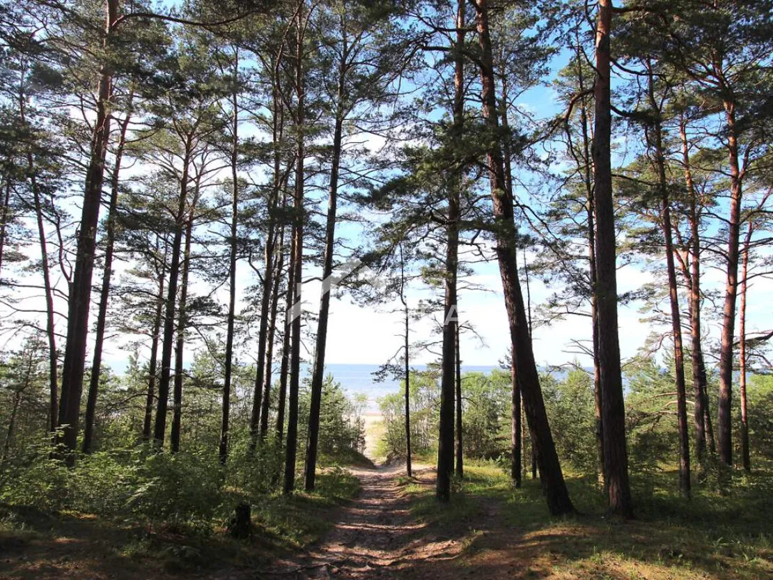 Jūrmala, Lielupe, 20. līnija