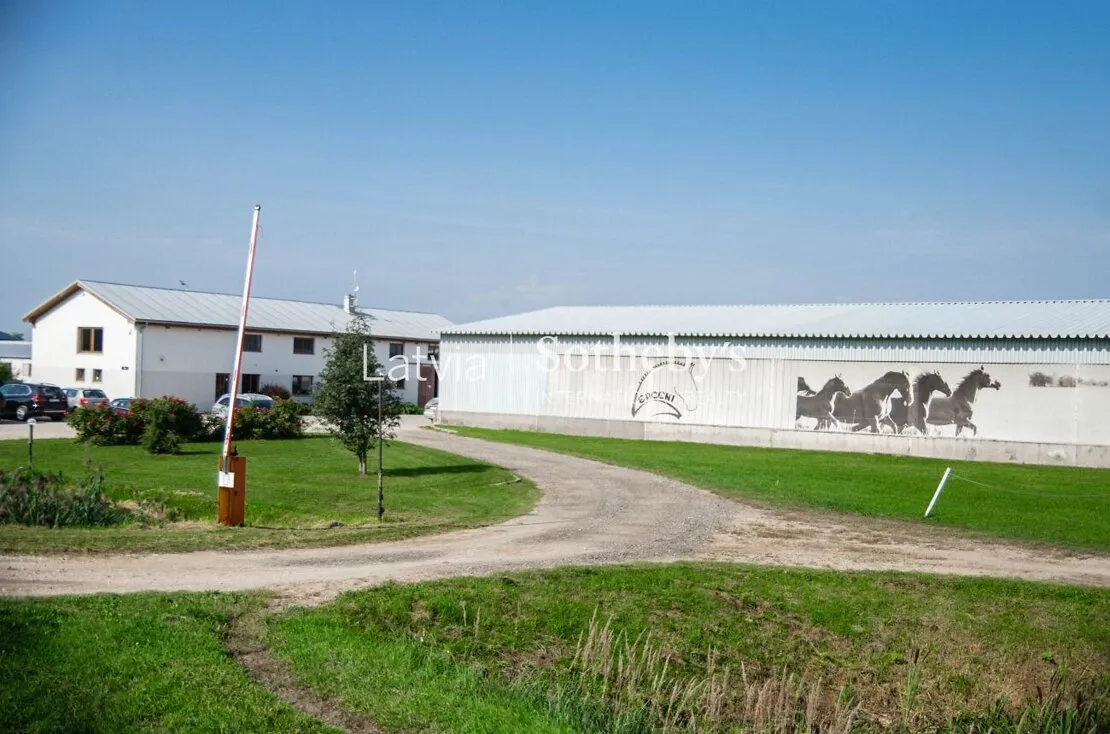 Ādaži, Astri