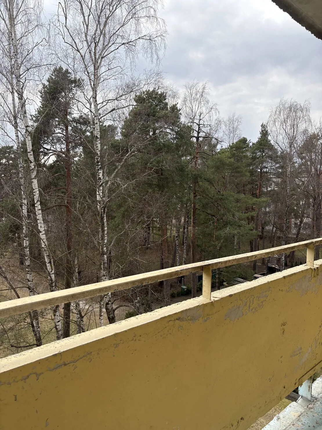 Jūrmala, Kauguri, Tērbatas iela 3A