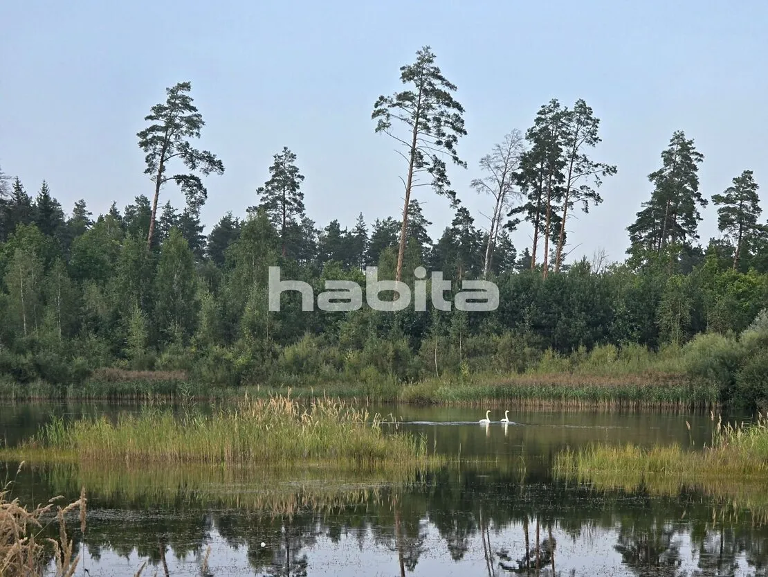 Jēkabpils nov., Sēlija, Palmas