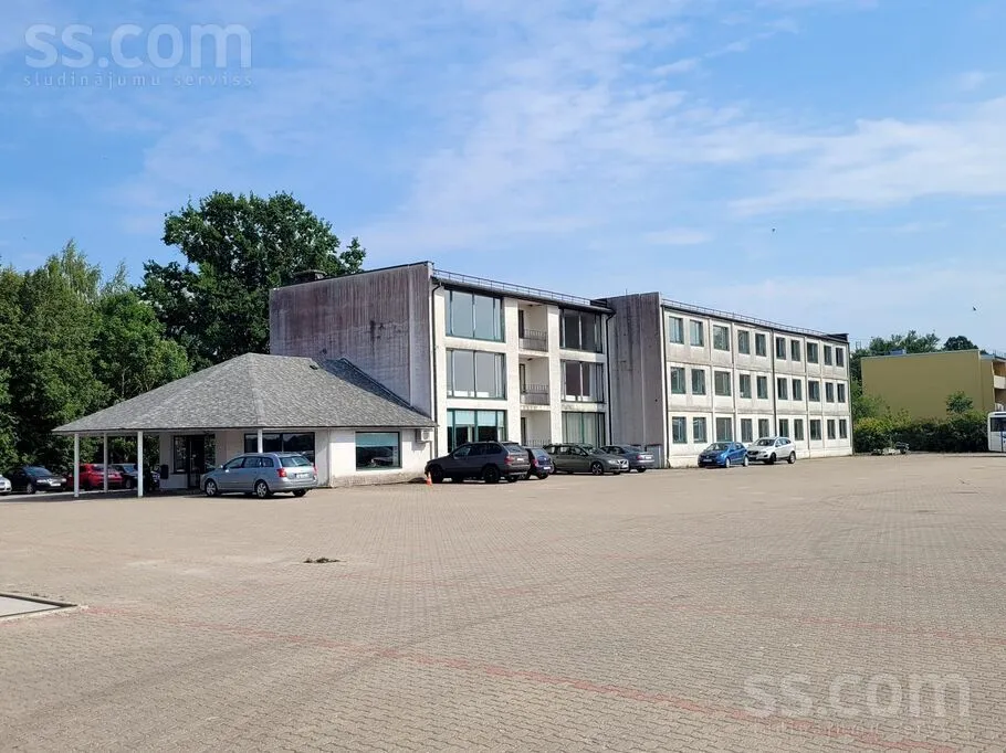 Saulaine 25, Bauska