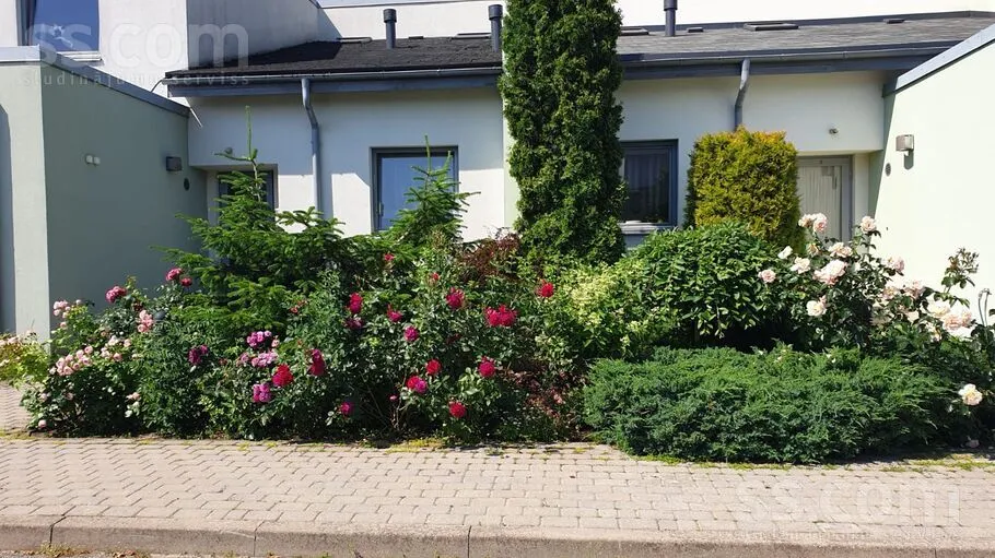 Pildas 30, Darzciems