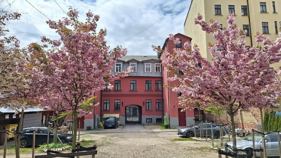Bruninieku 77, Centre
