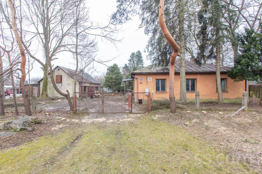 Pildas 42, Darzciems
