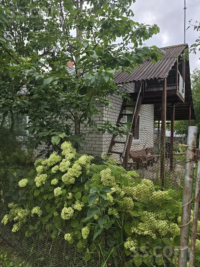 Lielziedi 731, Aizkraukles
