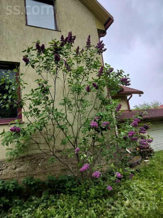 Kalna iela, Madona