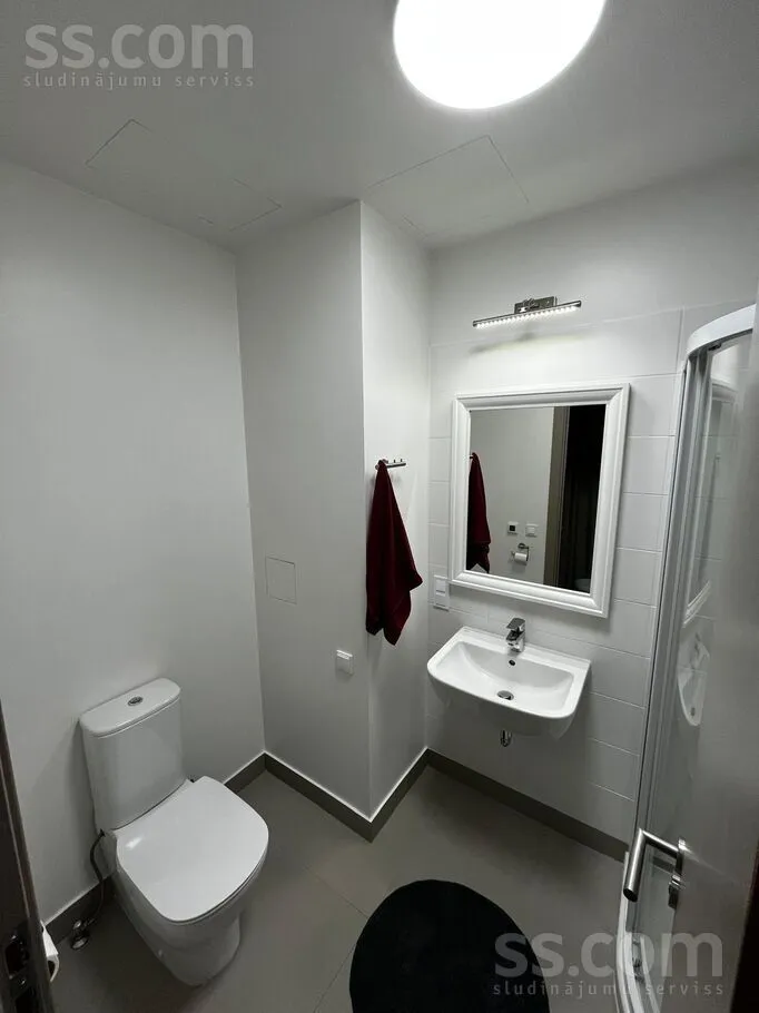 Kupricu 1e, Plyavnieki