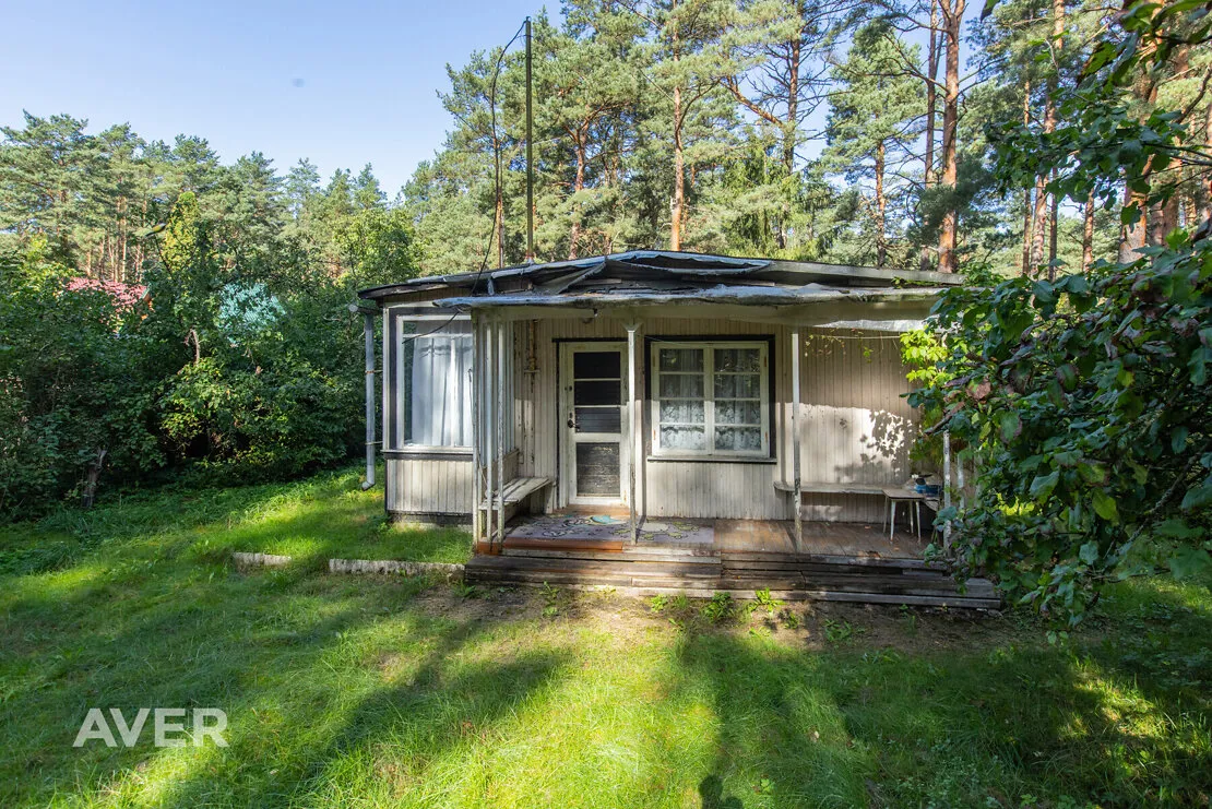 Jūrmala, Priedaine, Baltas kapas 21
