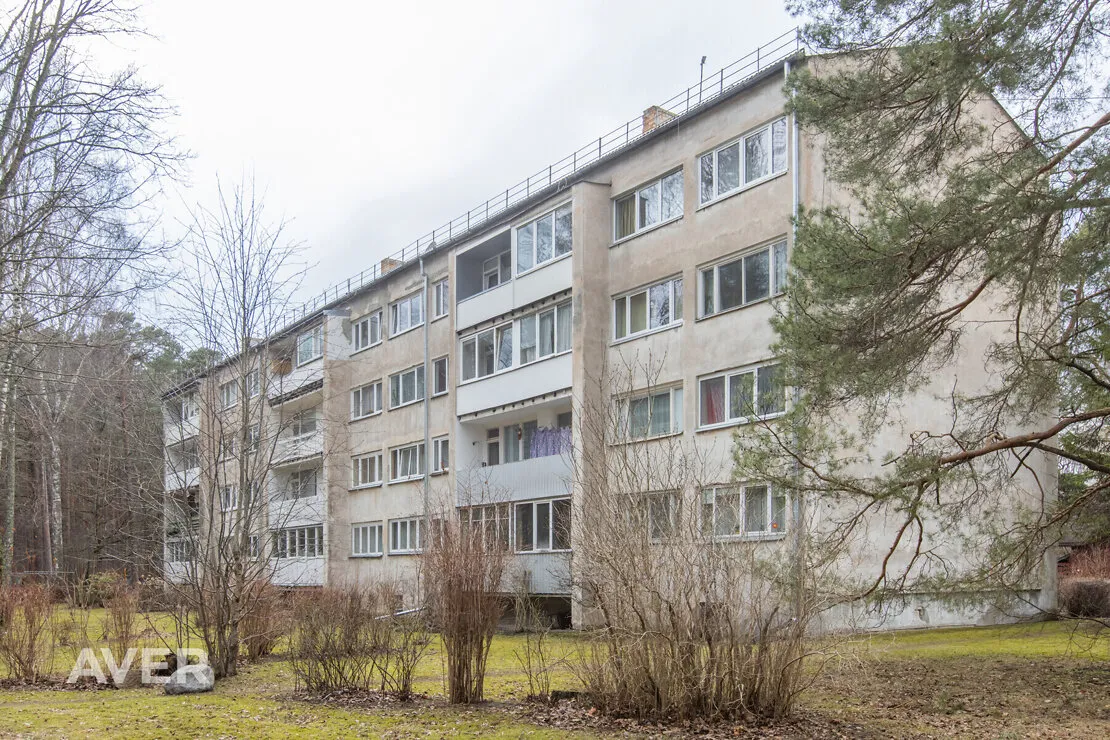 Ceriņu iela