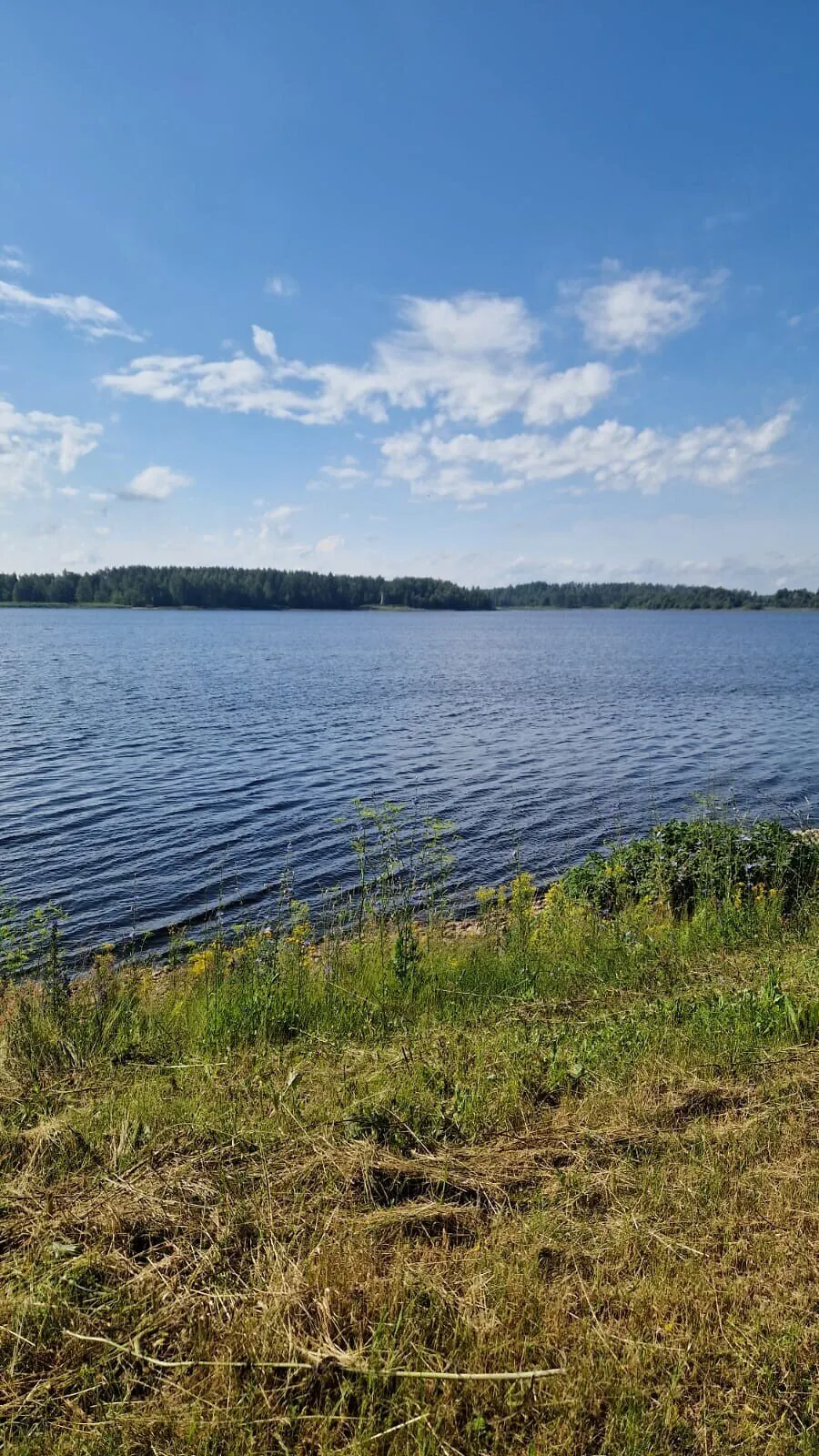 Salaspils nov., Saulkalne, Daugvmalas 34