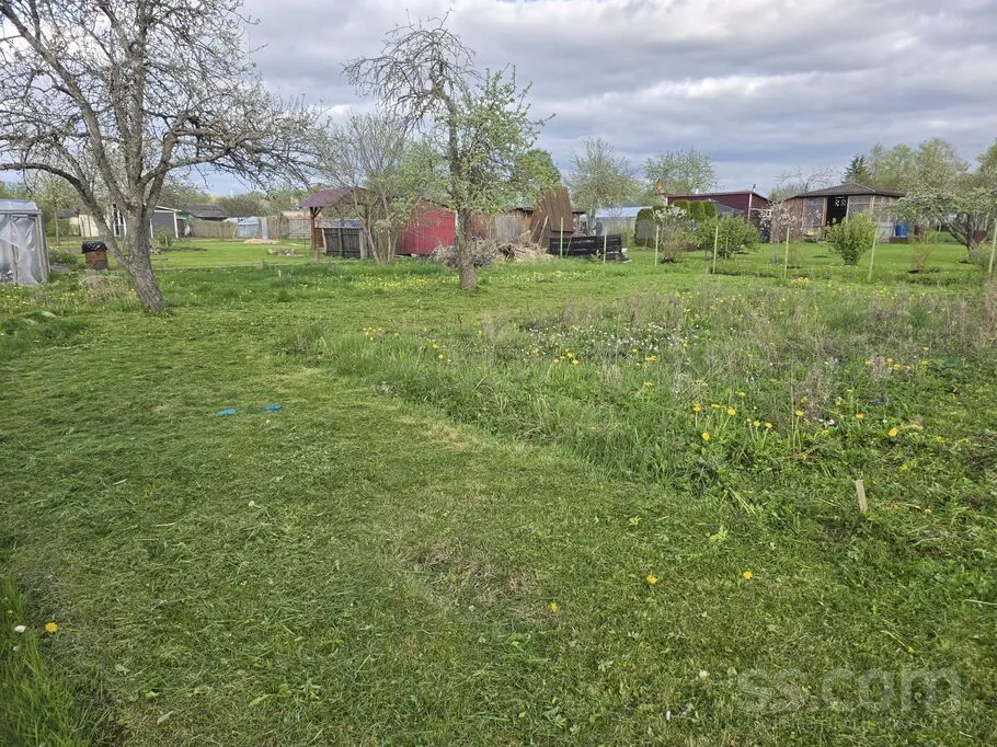 8 celiņš 84, Balvi