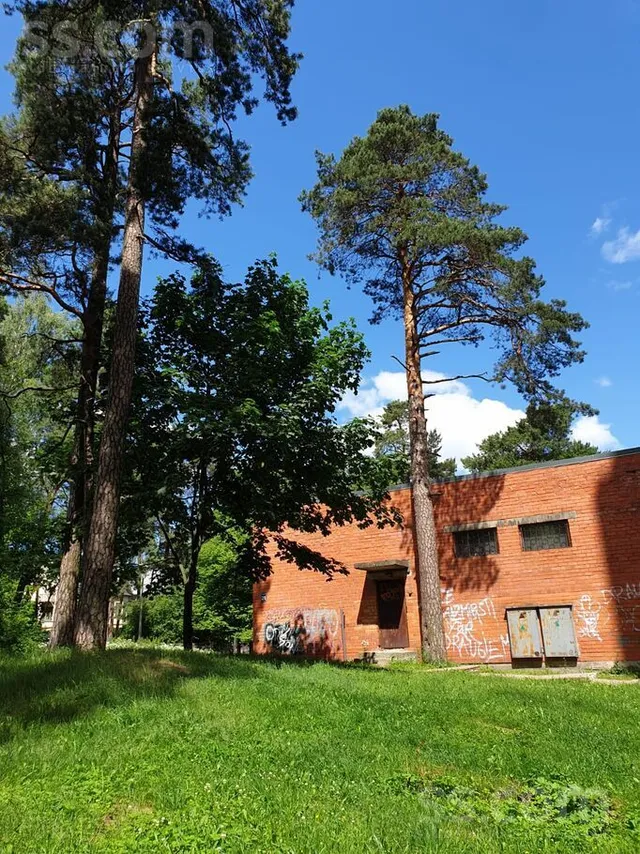 Sakses 21, Mezhapark — foto 4