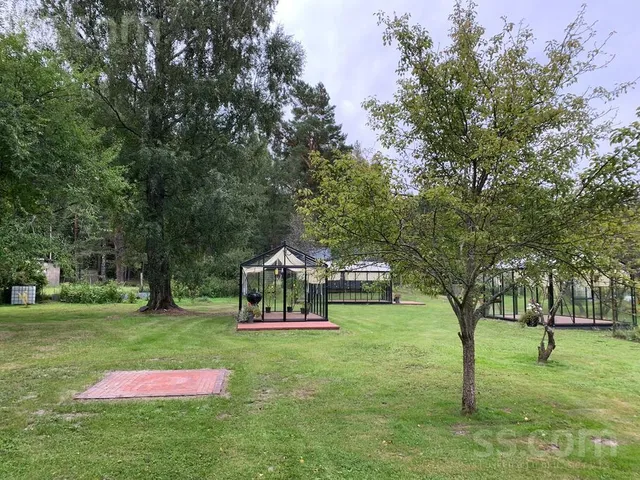 Plūmes/oāzes, Mazirbe, Kolkas pag. — foto 5