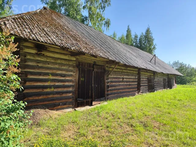 Ķurmrags 1, Tūja, Liepupes pag. — foto 2