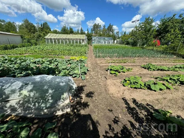 Birkineļu dārziņi 99, Birkineļu dārziņi, Kalkūnes pag. — photo 3