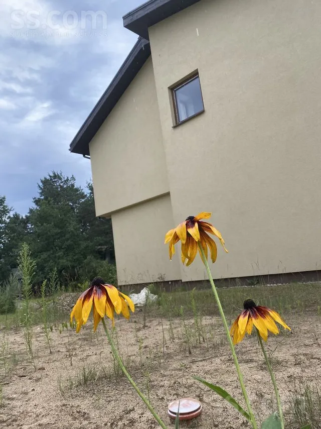 Mazā Smilšu 7, Garciems, Carnikavas nov. — foto 5