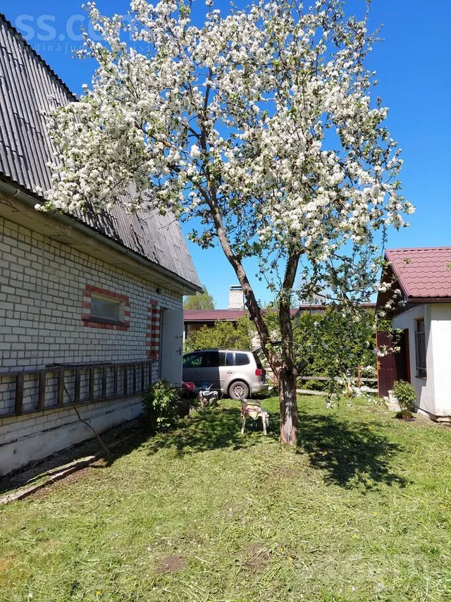 Misa 119, Misas, Ķekavas pag. — foto 3