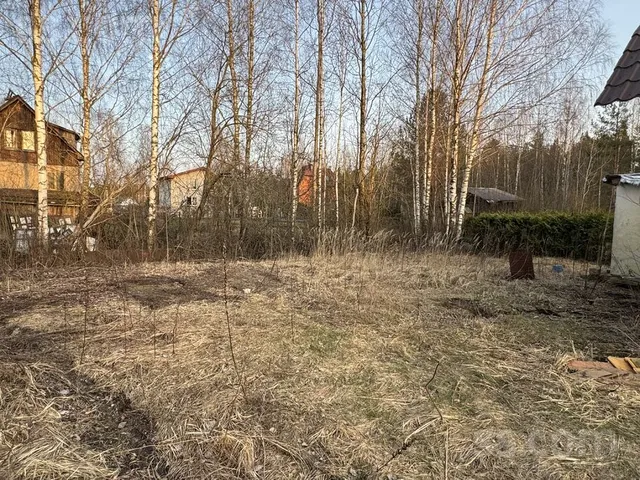Liliju iela 35, Vangaži — foto 4