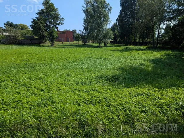 Jaunupji x, Kolka, Kolkas pag. — foto 5