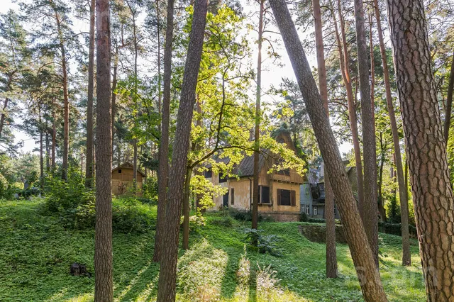Hamburgas 21, Mezhapark — foto 3