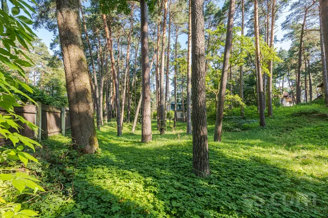 Hamburgas 21, Mezhapark — foto 4