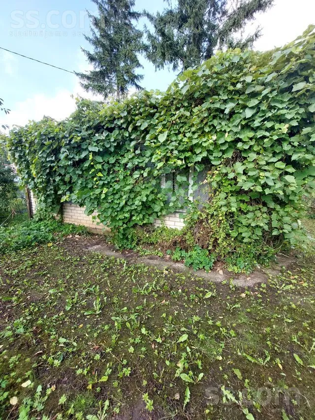Kazragu 6, Darzini — foto 3