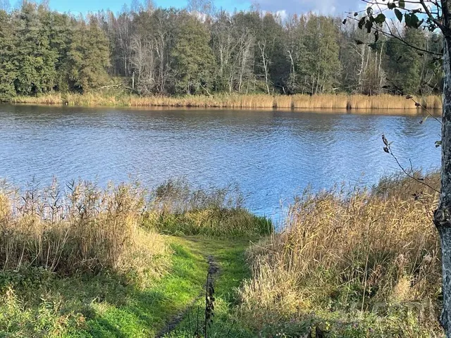 Leči 50, Leči, Vārves pag. — foto 2