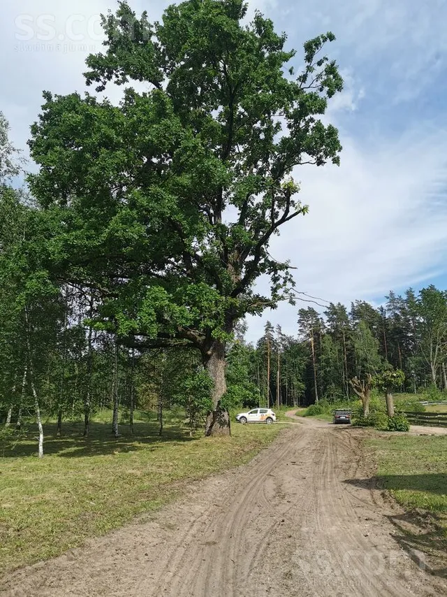 Upmalas, Bārbele, Bārbeles pag. — foto 5