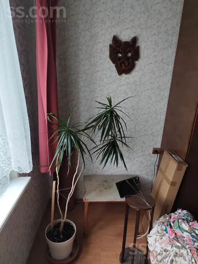 Deglava 152, Plyavnieki — foto 5