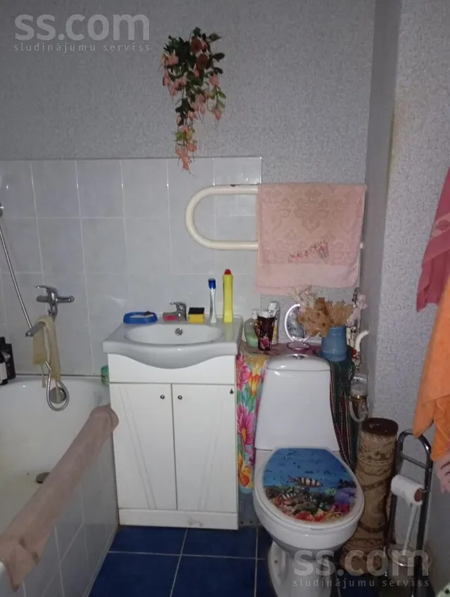 Zelmeņi 32, Pilsrundāle, Rundāles pag. — foto 3