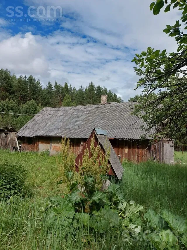 Priežu iela, Zilupe — foto 4