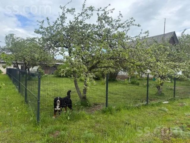 Līvāni 98, Alūksne — foto 4
