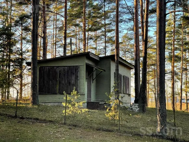 Jaunkadiķi, Vilkakrogs, Kaunatas pag. — foto 5