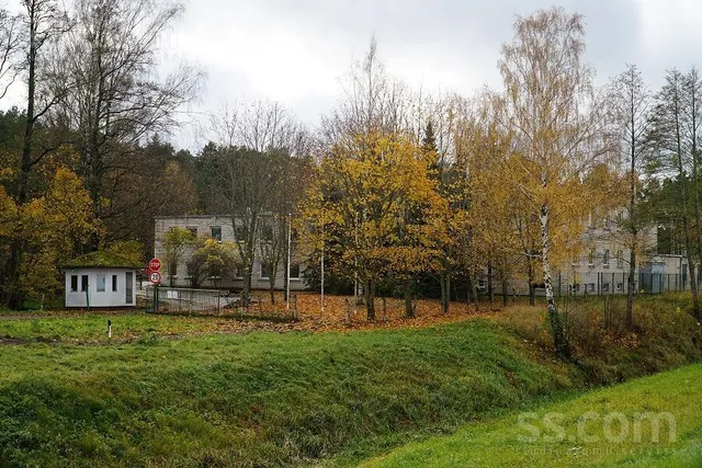 Timotiņu iela, Carnikava, Carnikavas nov. — foto 2
