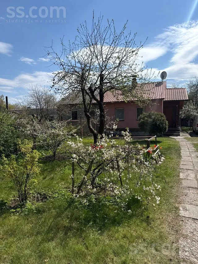Rajumsila 6, Shkirotava — foto 2